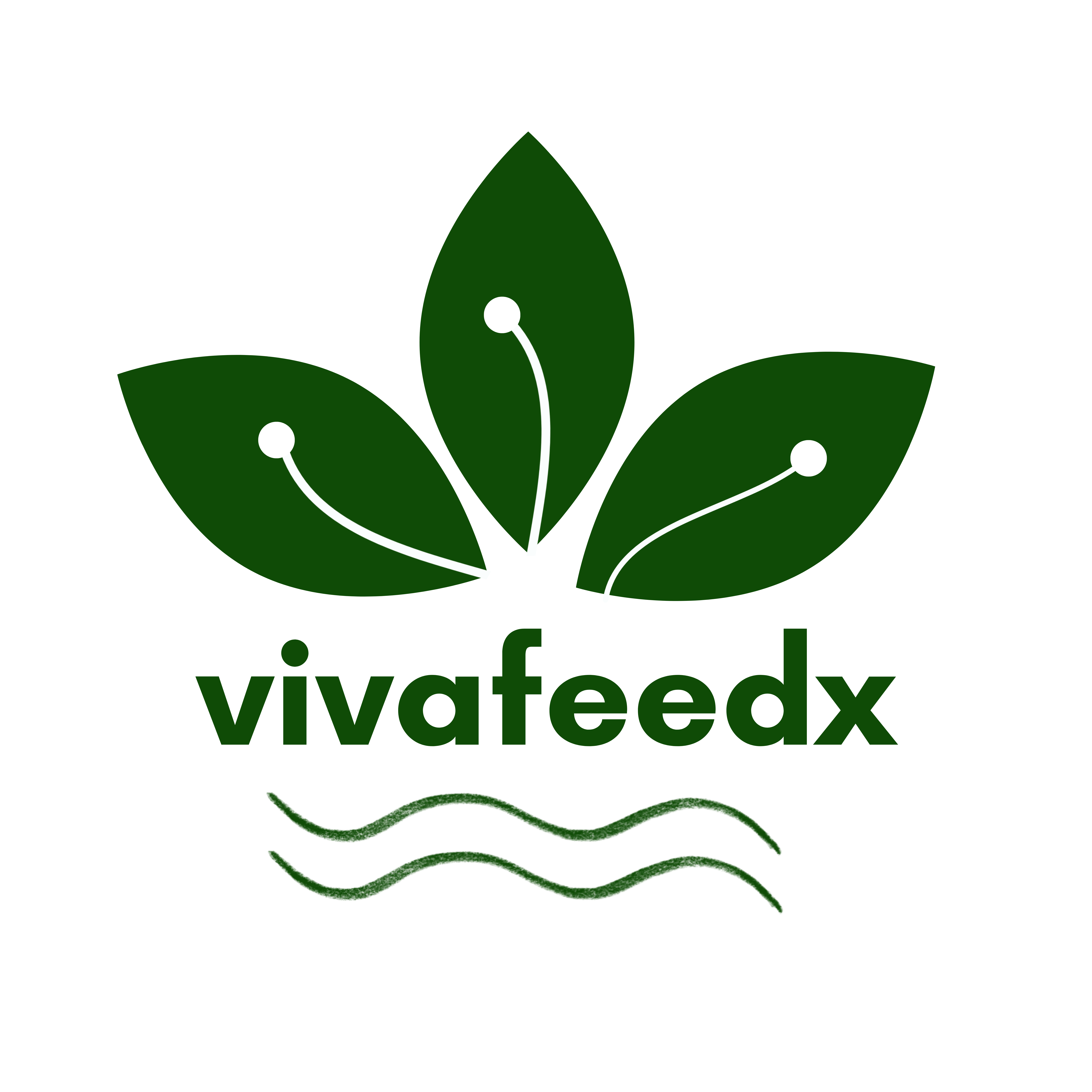 Viva Feed X